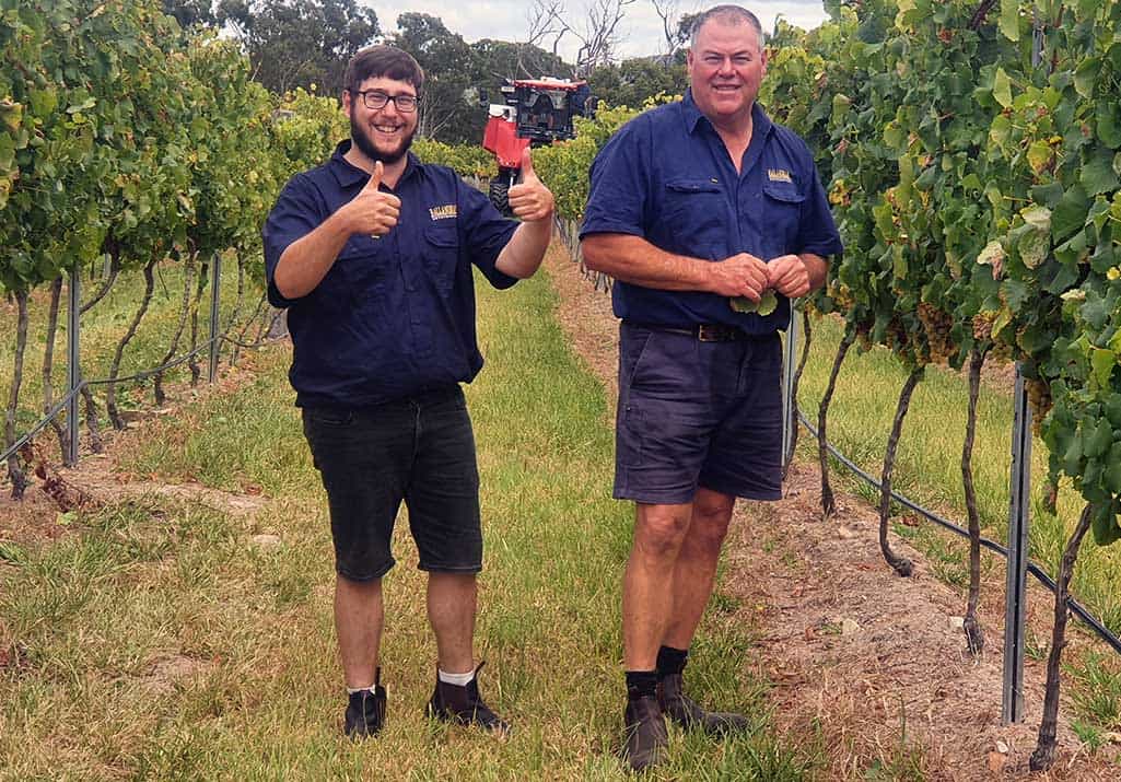 Granite Belt bumper harvest underway as vines recover from drought